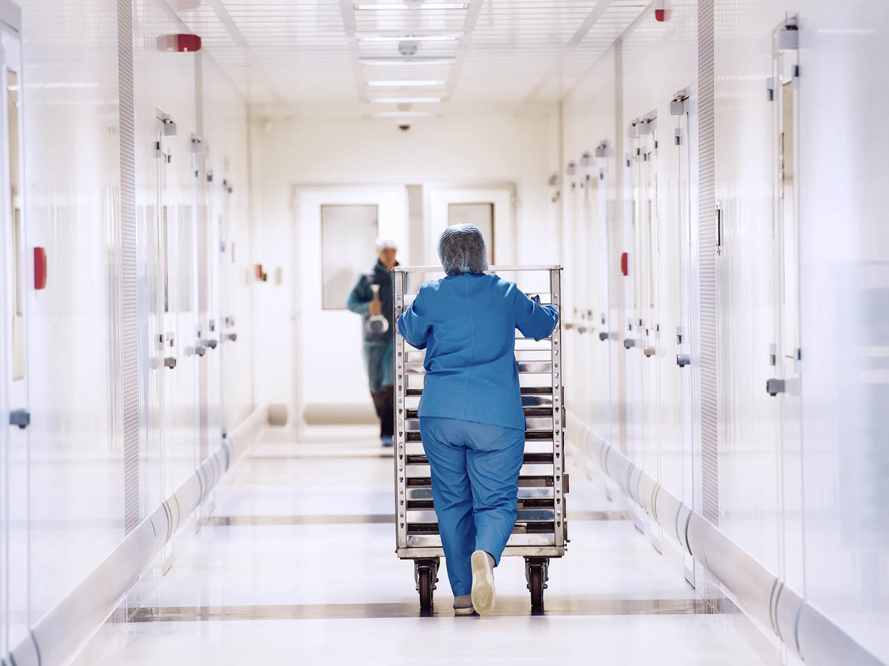 logistica sanitaria salud logisalud